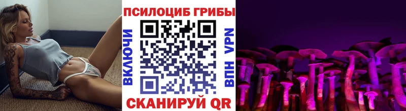 Купить закладки  Венёв  Галлюциногенные грибы Cubensis 