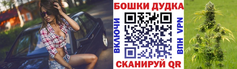 Купить  Венёв  Каннабис Amnesia 